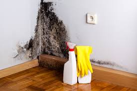 Best Emergency Mold Remediation  in Hampton, GA